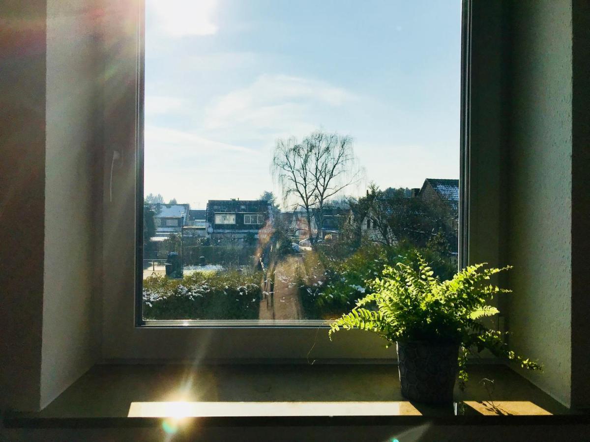 Vogelsang Köln